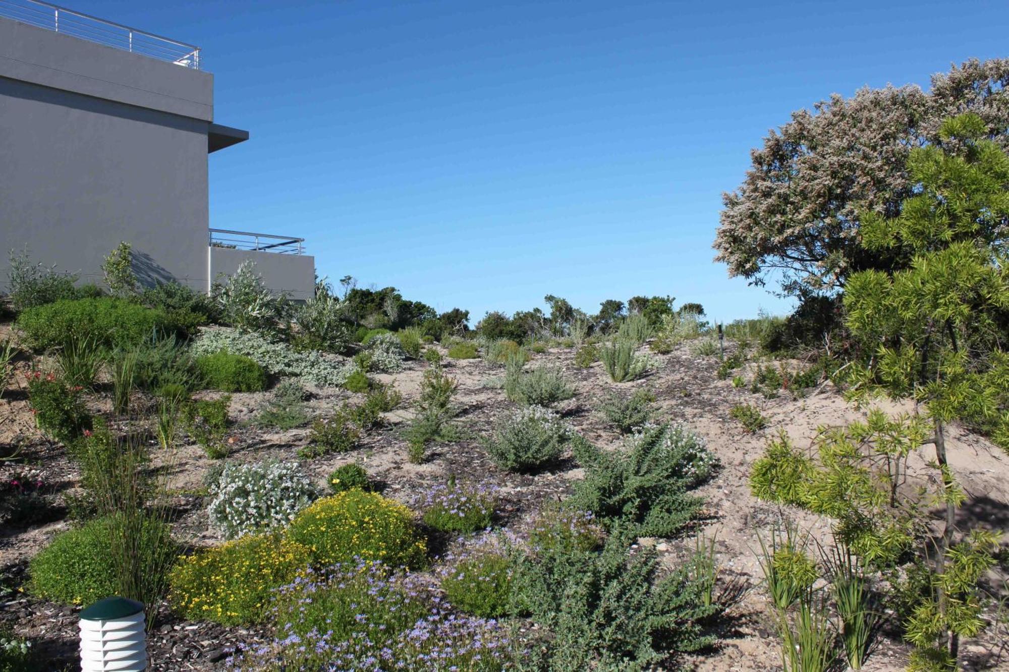 The Robberg Beach Lodge - Lion Roars Hotels & Lodges Plettenberg Bay Εξωτερικό φωτογραφία